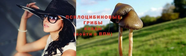 дживик Беломорск
