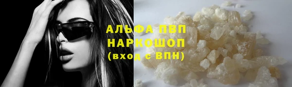 трава Белокуриха