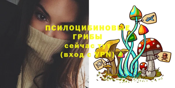 твердый Богородск