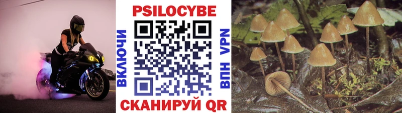 Псилоцибиновые грибы мицелий  Голицыно 