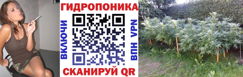 Канабис MAZAR  Голицыно 